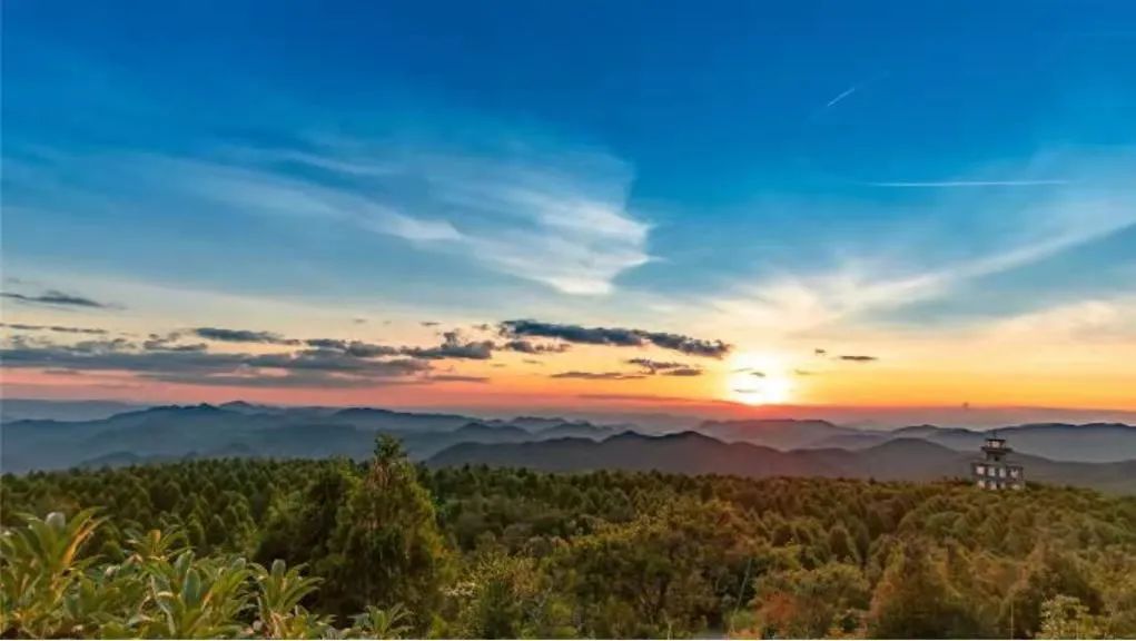 1647320887146239wt8Y.jpg 04.jpg