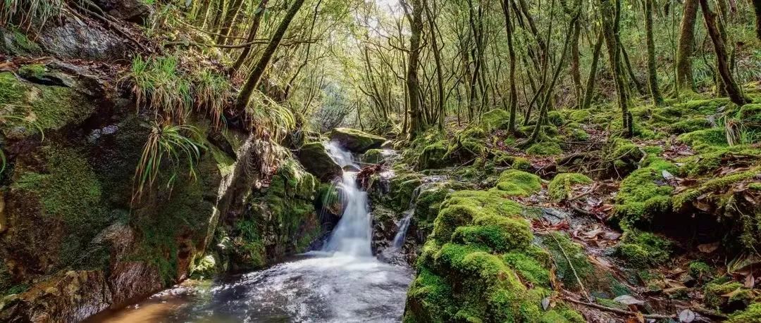 1647321003644447N3mw.jpg 05.jpg