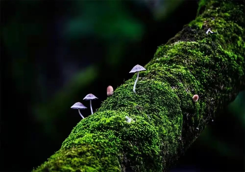 1647321226677510f6Zi.jpg 06.jpg