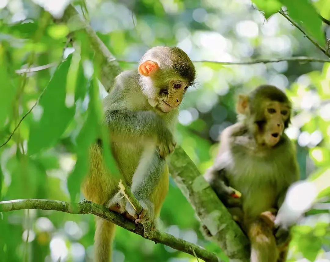 16473213117865848E7N.jpg 07.jpg