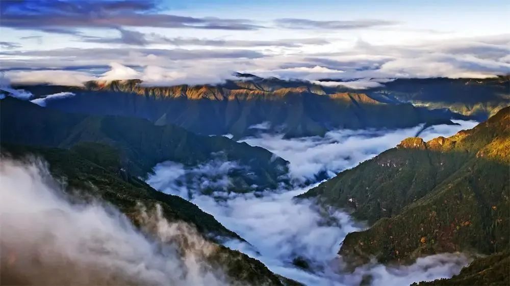 1660542780149469QE4w.jpg 01.jpg