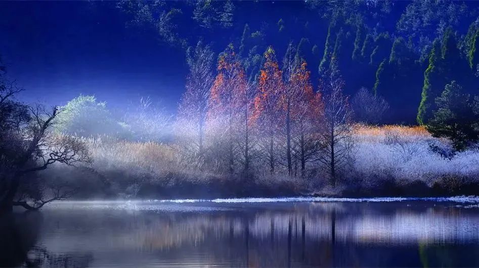 1660542962328436vkgZ.jpg 05.jpg