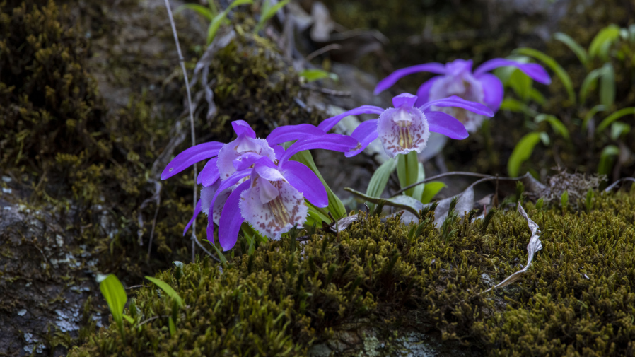 1660542993129494x2sg.png 06.png