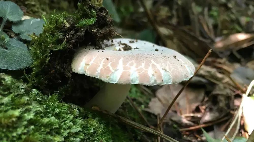 1660543062136011dCzk.jpg 08.jpg