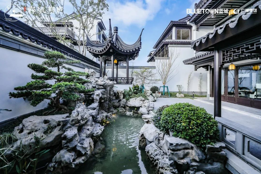 16652828794639542T4C.jpg 09.jpg