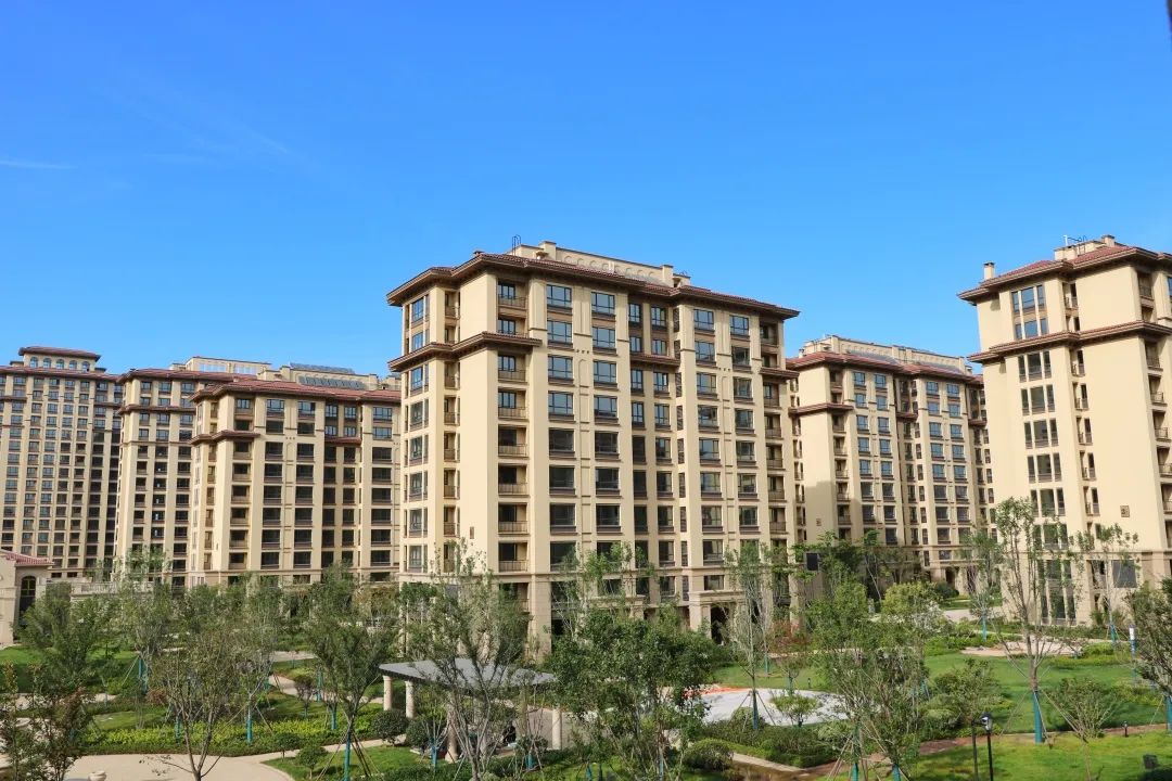 16735765051706931OJK.jpg 微信圖片_20230113101151.jpg